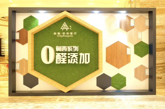 纸张回收公司，环保先锋的典范