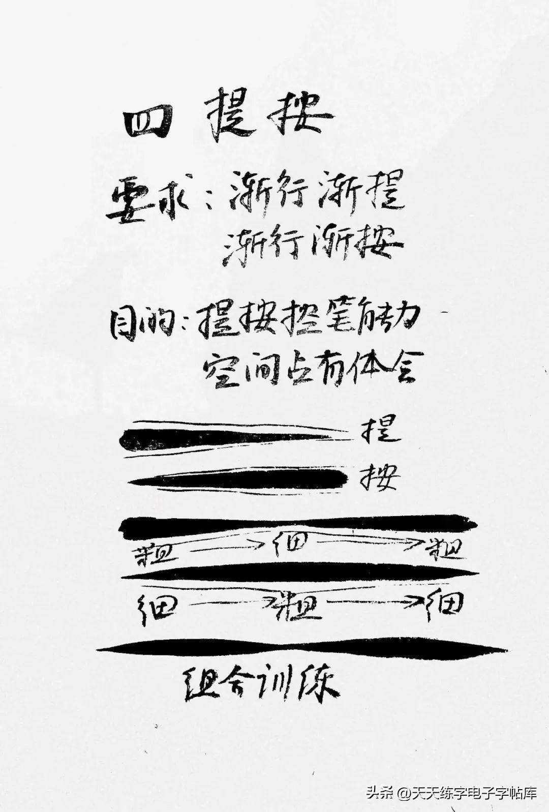 灌书写指导，从基础到进阶的全面解析