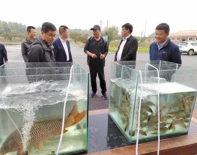 辽宁省水产科学研究院，引领科技创新，助力渔业繁荣发展
