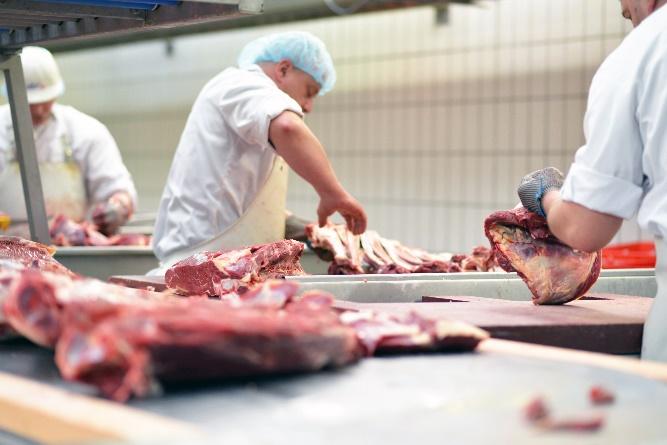 猪肉进口数量，影响、趋势与前景