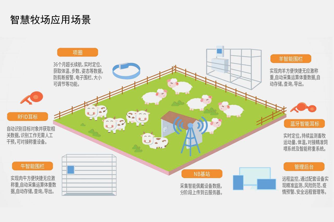 养殖数量器，智能化养殖的新利器