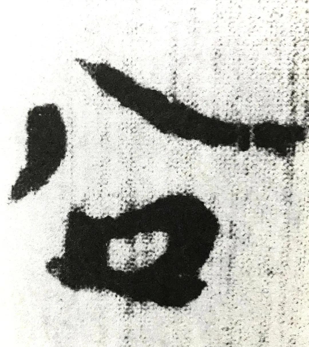 文档英文字体，多样性与选择的艺术