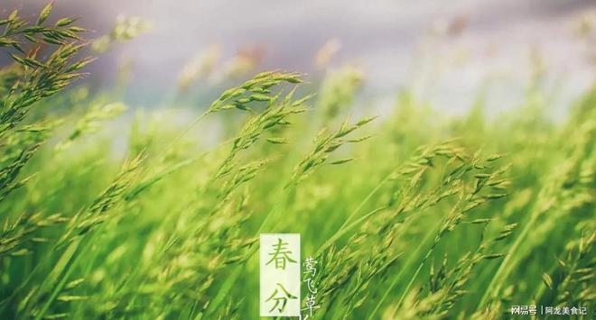 思想评论 第138页