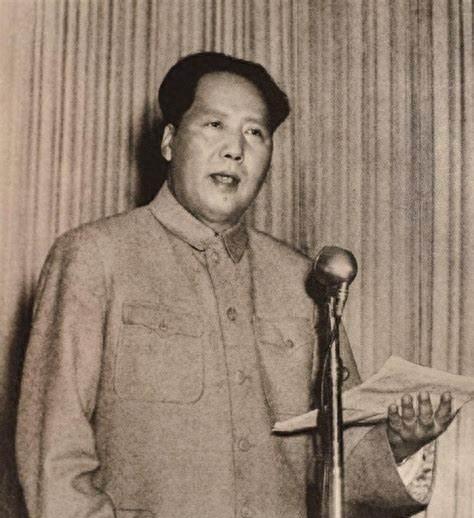 游泳培训注意事项，安全、技能与心态的全方位指南
