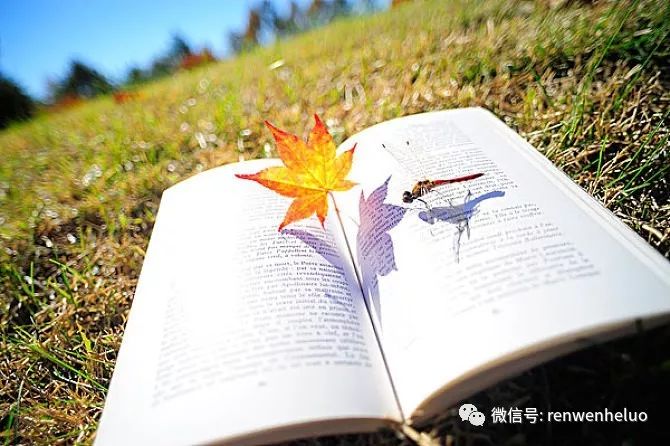 远的小诗