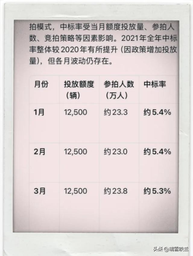 上海拍牌公司哪家靠谱，深度解析与对比