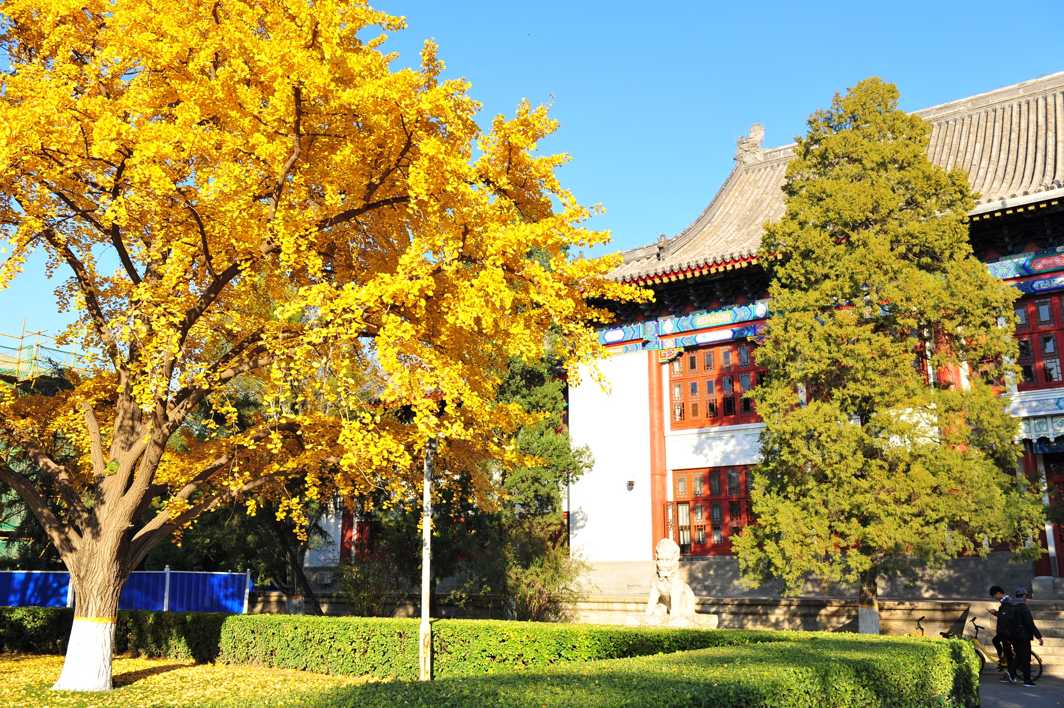 北京大学校办企业的蓬勃发展及其影响