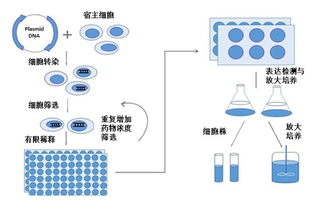 2025年3月 第125页