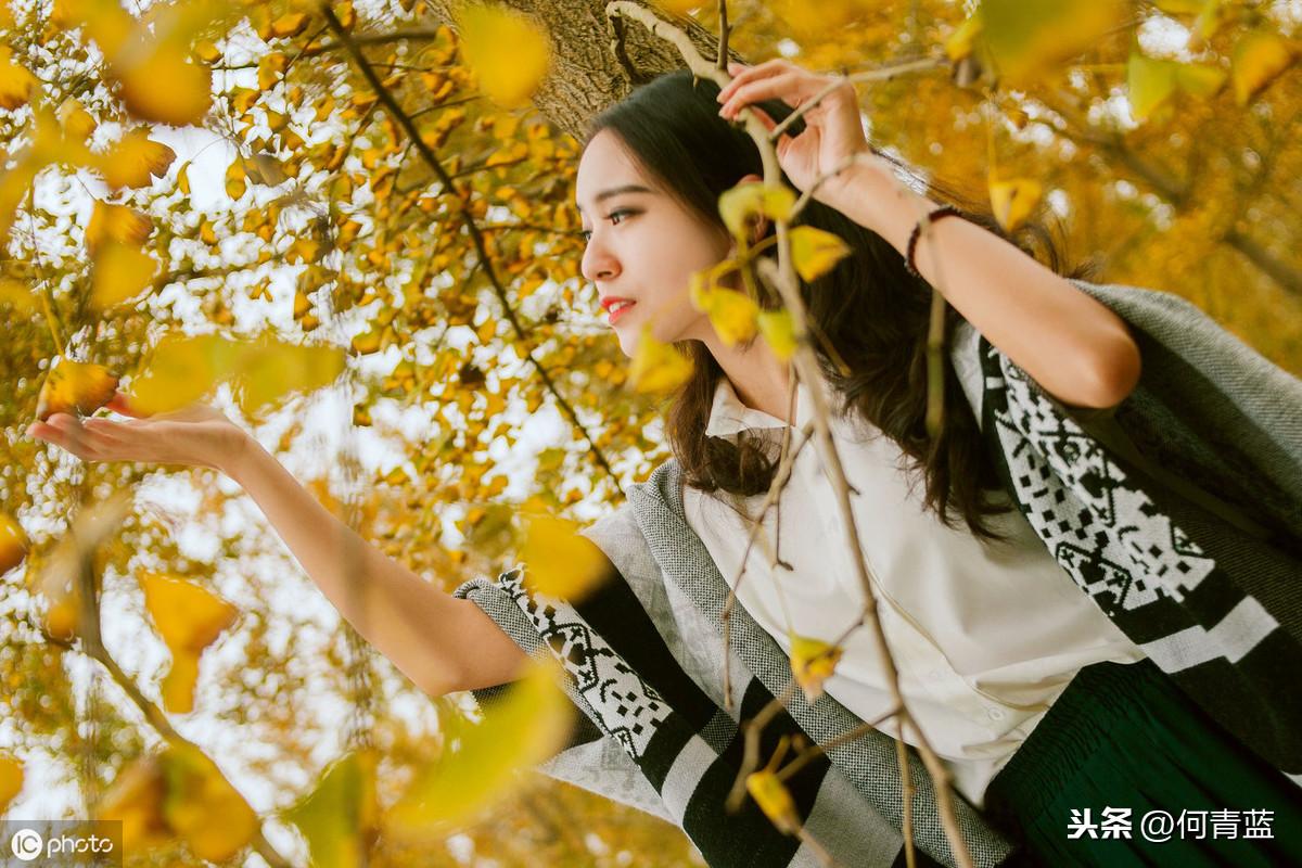 花的边缘泛黄，生命之美与凋零之哀