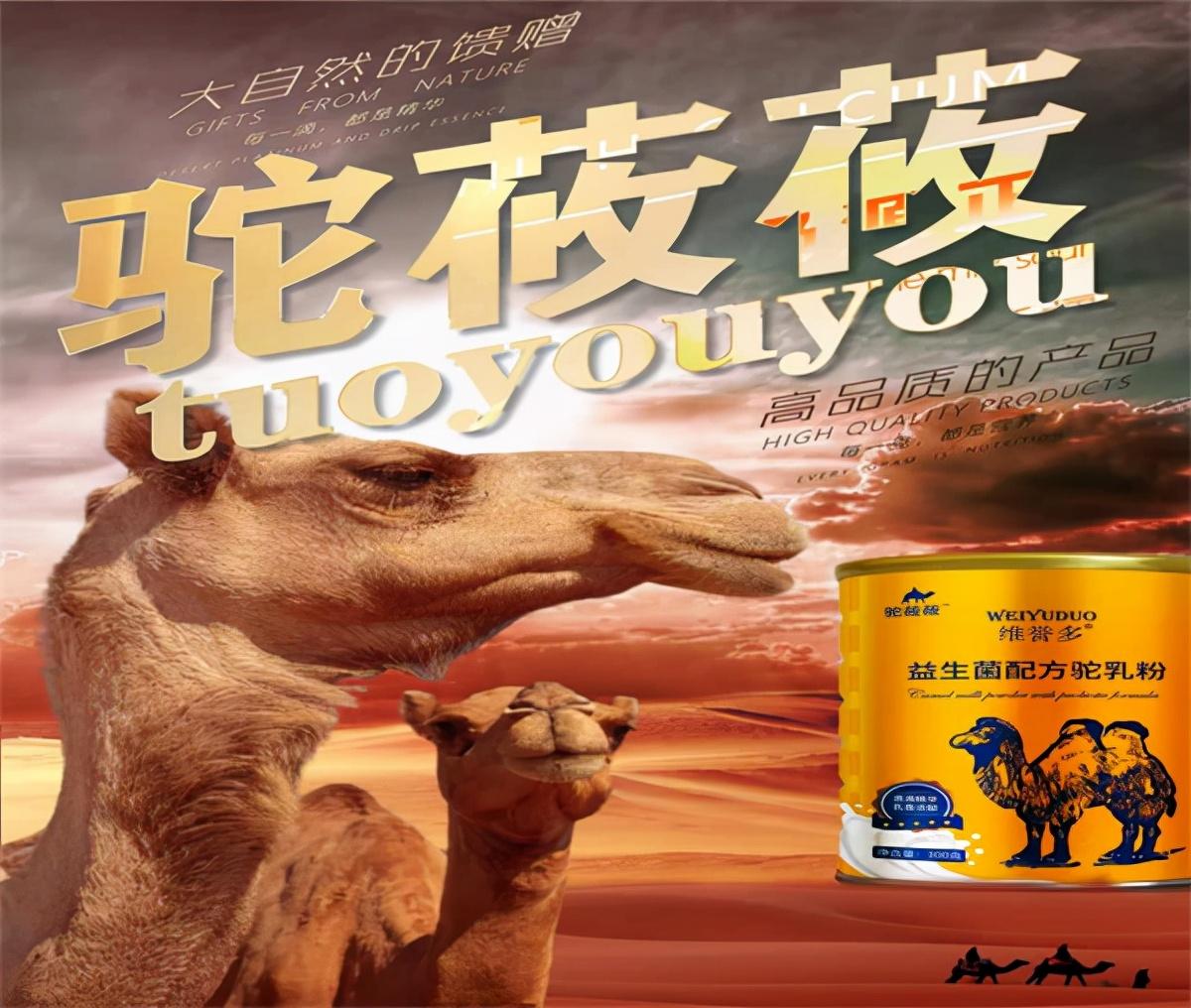 最新奶粉品牌，品质与创新的融合
