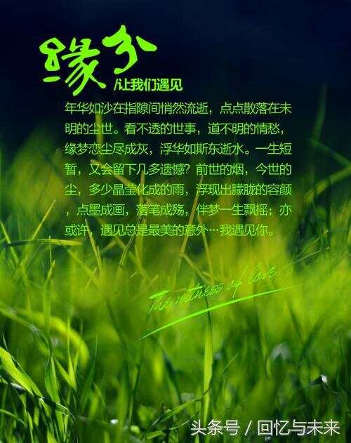 缘分不停留