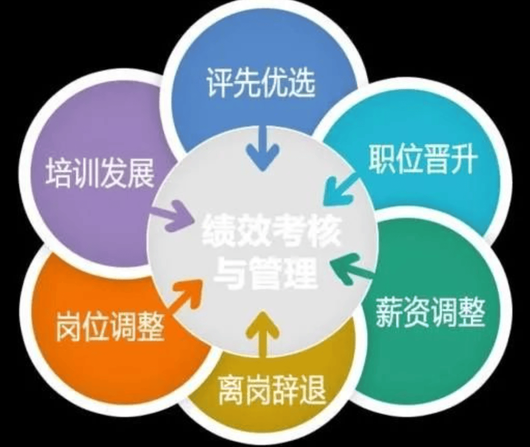 绩效辅导的作用，提升员工绩效与促进组织成功的关键驱动力