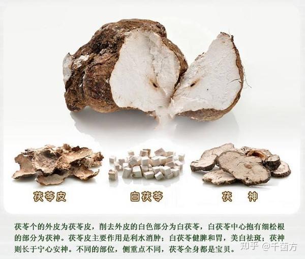茯苓，古老而神秘的中药材