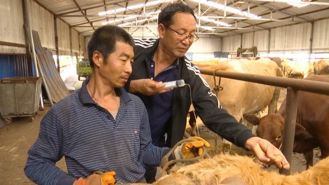 内蒙古犇腾牧业公司，草原上的牧业新星