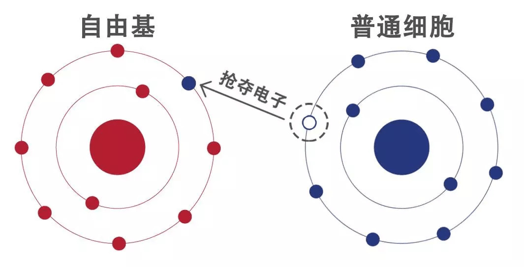 血清O，揭示生命奥秘的关键角色