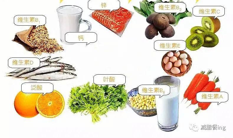 新陈代谢计算公式的应用与理解