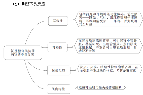 匹伐他汀代谢，深入了解药物代谢过程与机制