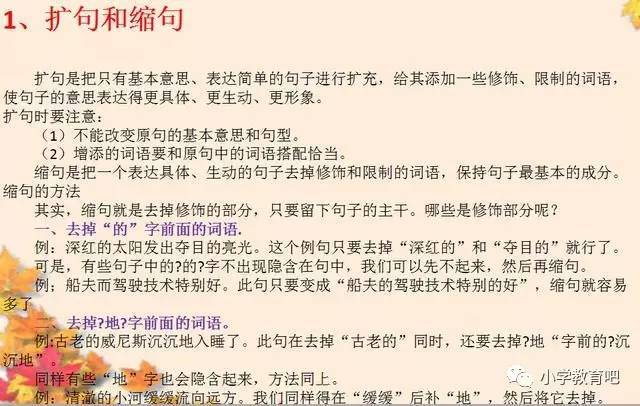 用关系造句，探索语言中的奥秘与魅力