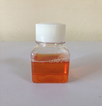 新生牛血清灭活，工艺、应用与重要性