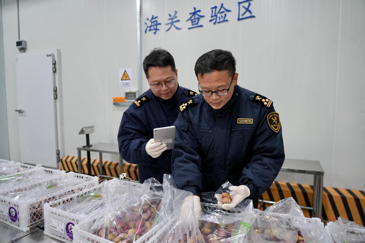 广州海关破获重大水果走私案，捍卫国门安全