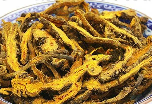 黄莲的杀菌功效研究