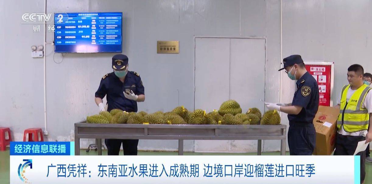 大新硕龙口岸的水果贸易，繁荣与机遇