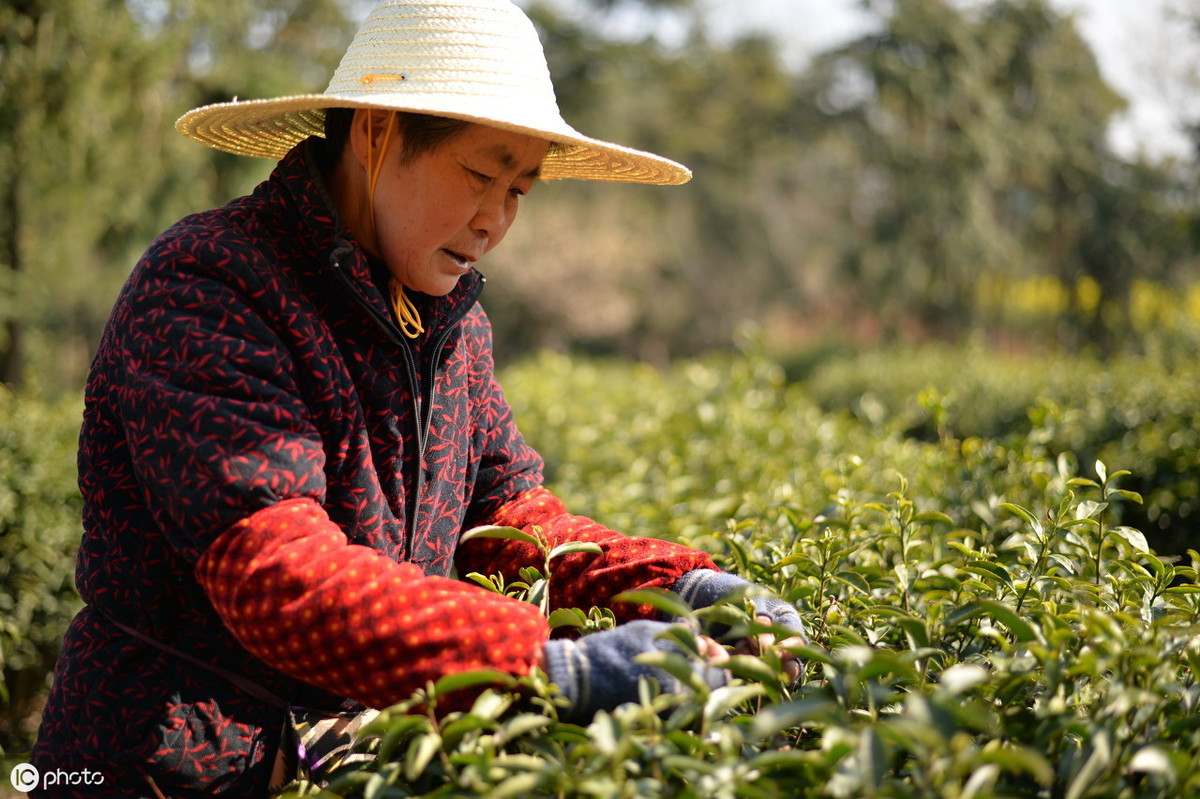 目前农村做什么生意致富的最佳策略