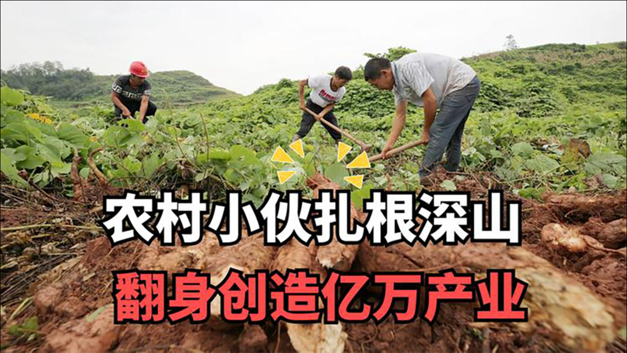 农村创业养殖，探索与机遇