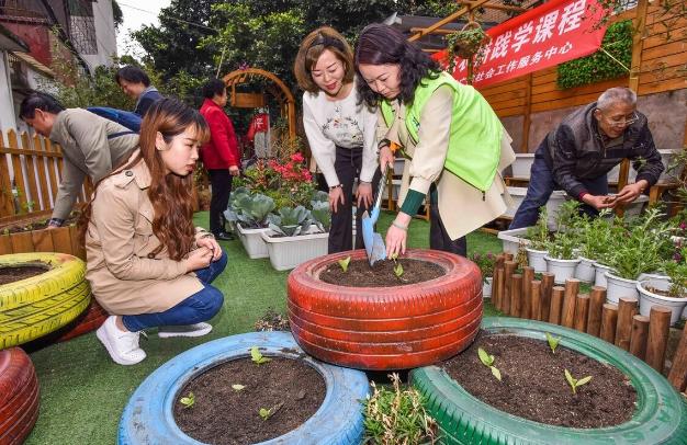 养花肥料的使用指南