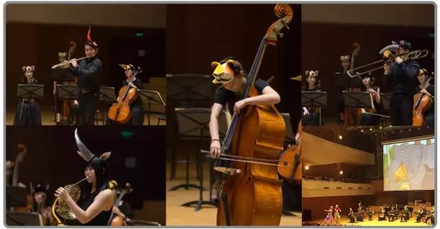 探索低音贝斯演奏视频的世界，音乐与技术的完美结合