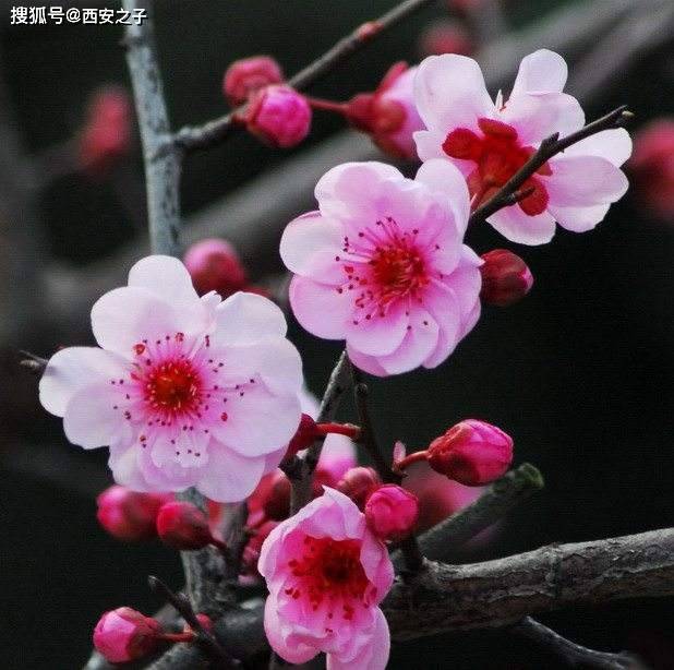 2025年4月 第365页