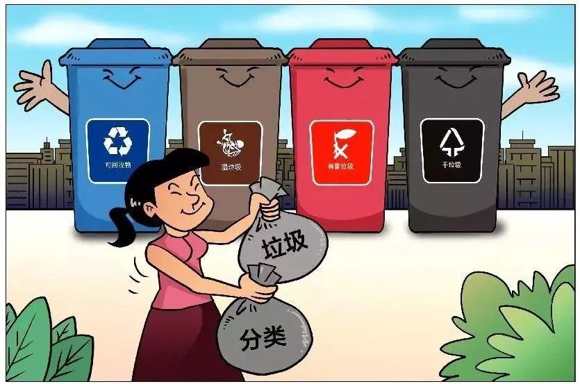 包装与食品，从源头到消费者的桥梁与保障