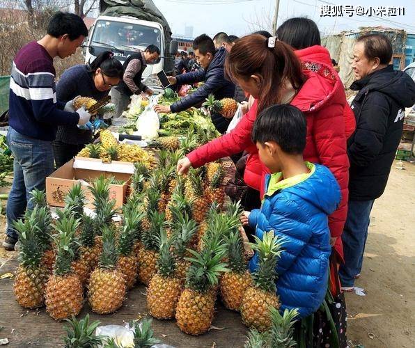 农村适合做的小生意，探索乡村商业机遇的无限可能