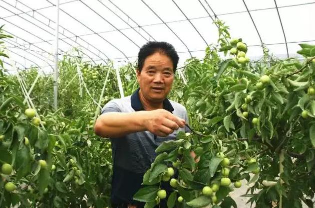 揭秘靠谱汽车吊模拟机，提升技能，保障安全