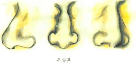 脸大鼻子小的女人面相解析