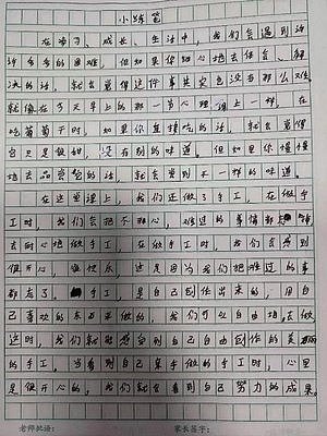 实践活动作文八篇