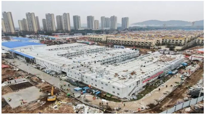 南宁安武路木材市场，繁荣的木材交易与产业生态的塑造