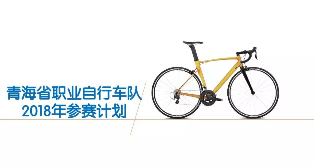 公路车车队等级制度，构建高效协作的核心力量