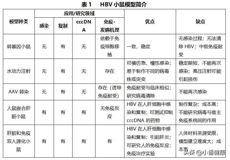BL模型，探索与应用