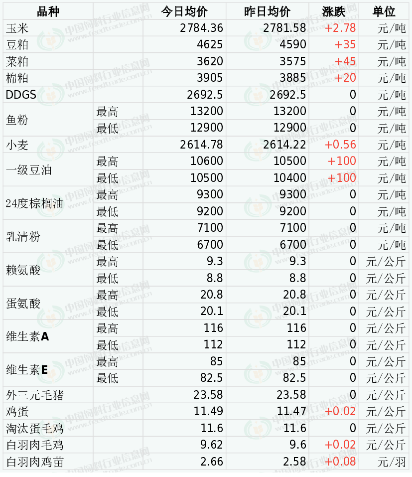 上海红马饲料种类价格概览