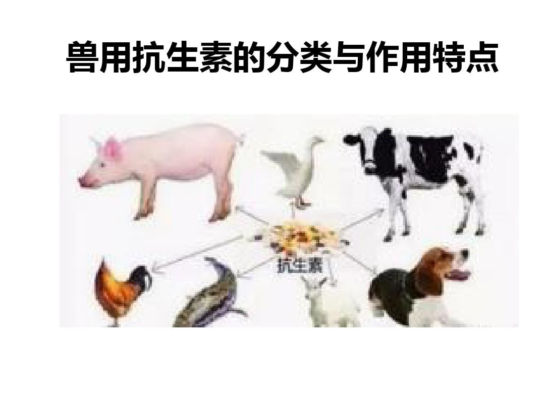 兽用抗生素的种类及其特点