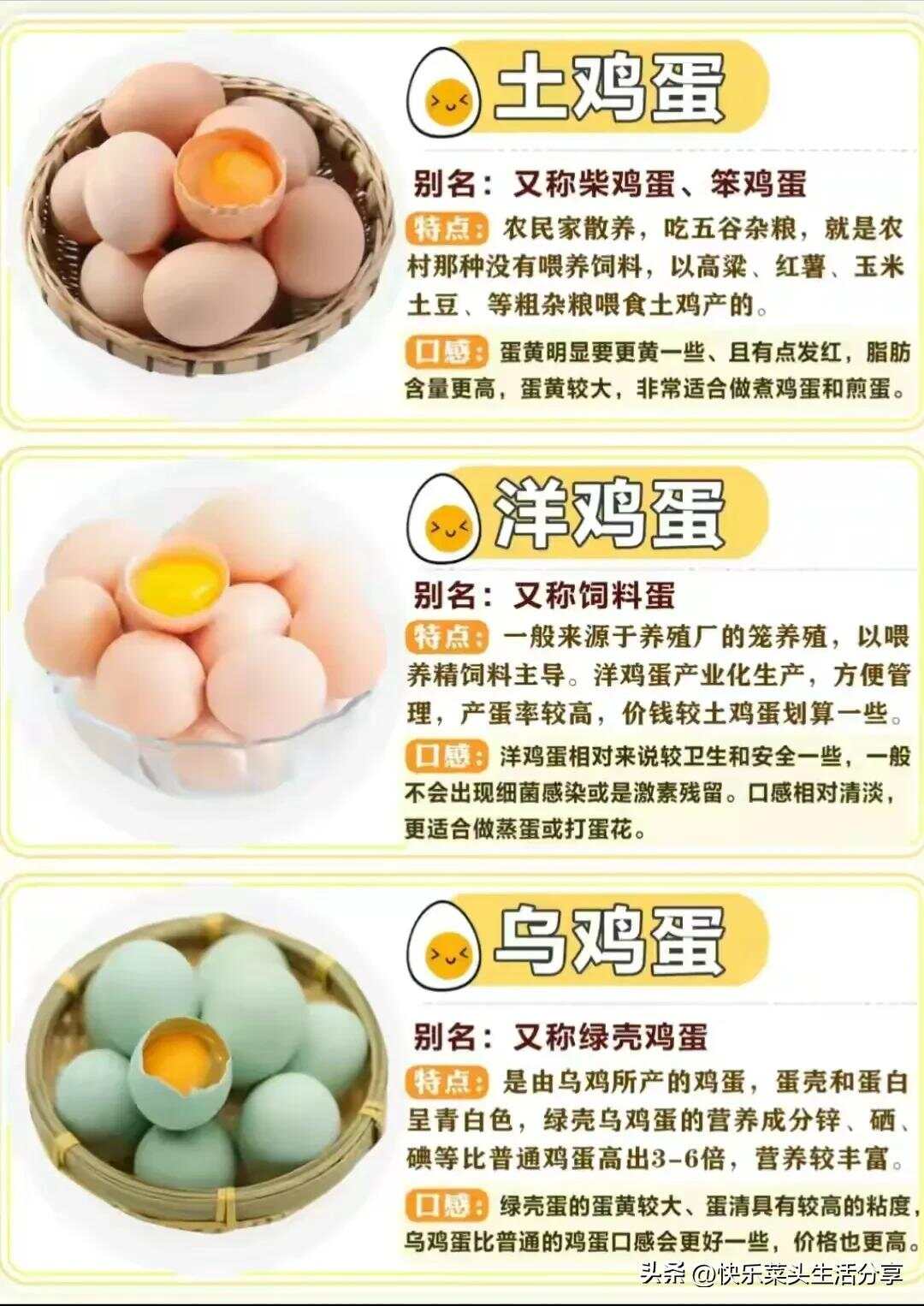 调查报告 第64页