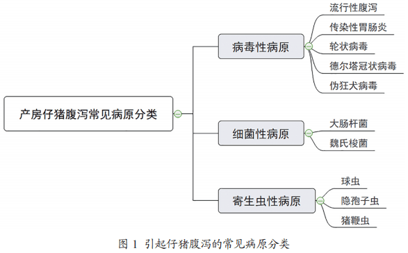 猪腹泻种类及其应对措施