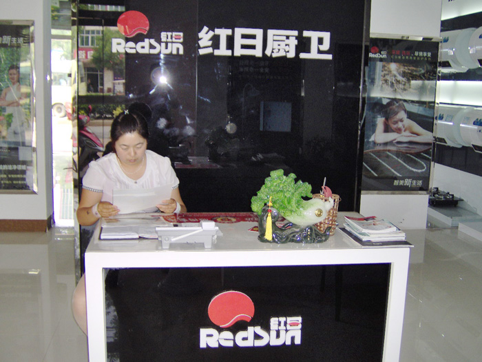 红日厨卫，品质、创新与用户体验的综合考察