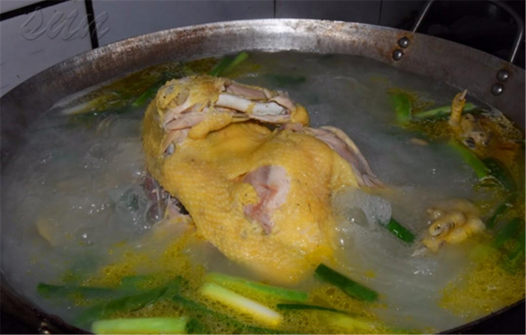 河南鸡种类大全