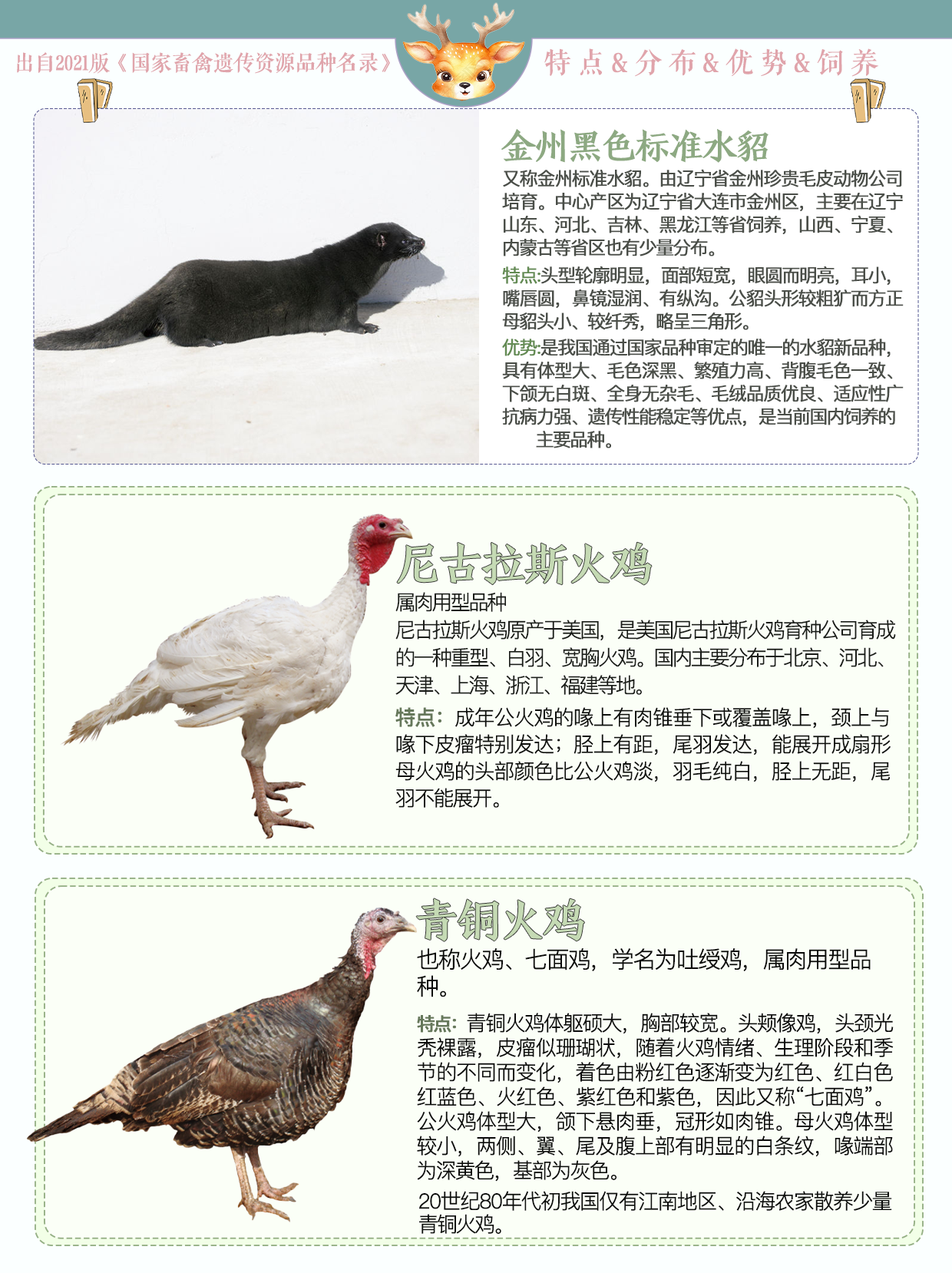 家禽畜的种类及其特点