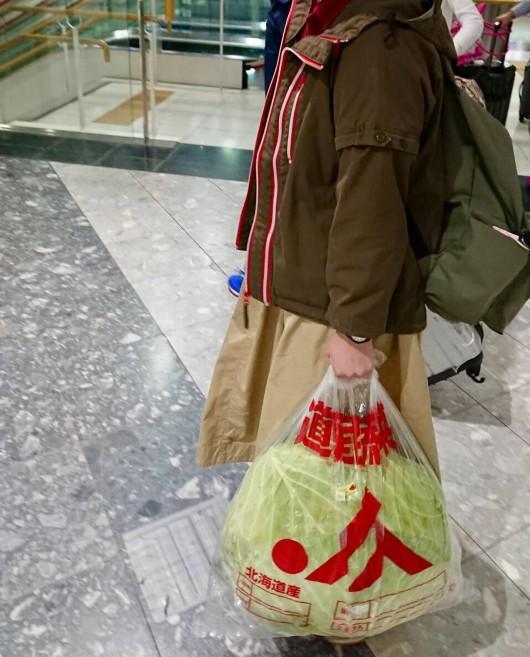 日本坐飞机托运多少行李——深入了解日本航空行李规定