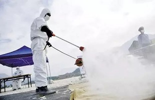 强制扑杀疫病种类，人类与疫病的斗争与挑战