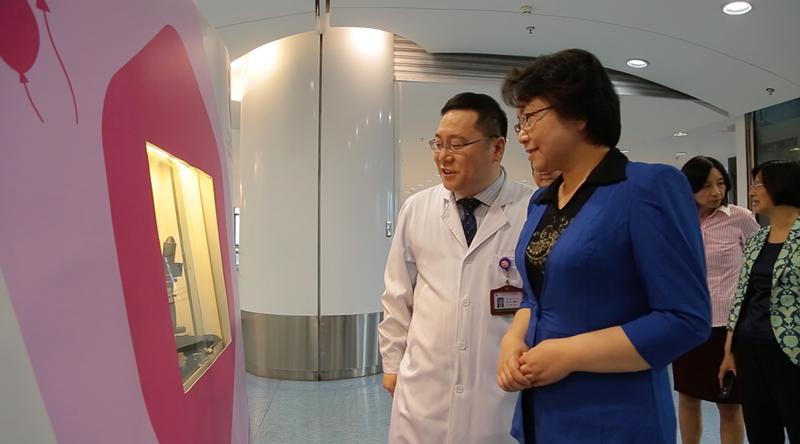 长风模型，探索与发现之旅