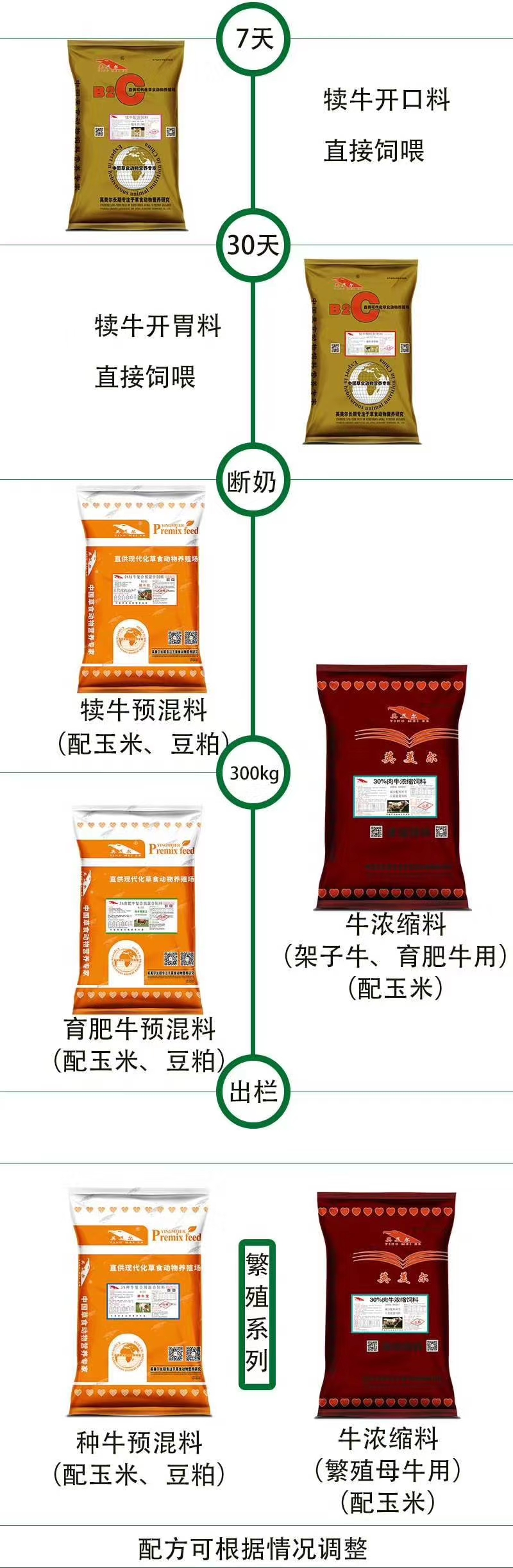 牛饲料种类及其特点